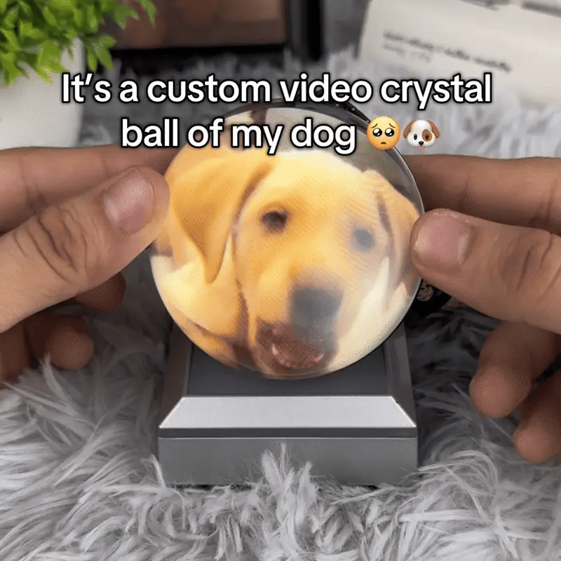 The Memory Orb